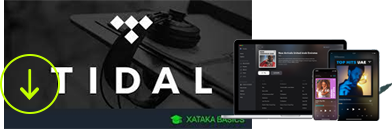 TIDAL Music Downloader